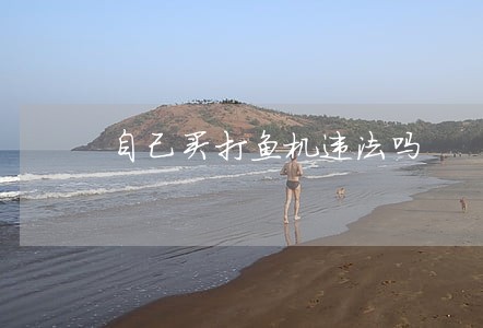 自己买打鱼机违法吗