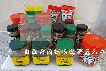 自己交的社保逾期怎么办 自己交的社保逾期怎么办