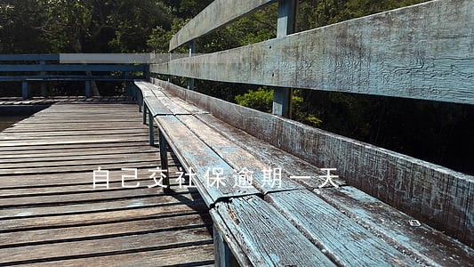 自己交社保逾期一天 自己交社保逾期一天