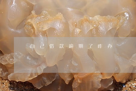 自己借款逾期了咋办 自己借款逾期了咋办