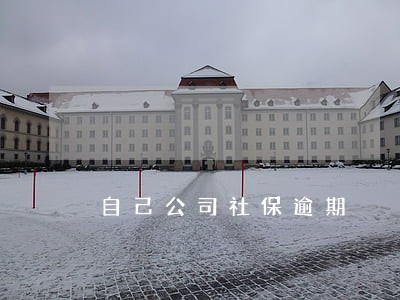 自己公司社保逾期 自己公司社保逾期