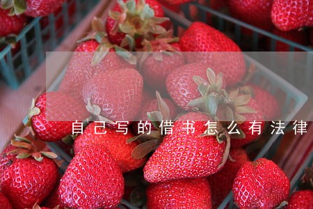 自己写的借书怎么有法律效力 自己写的借书怎么有法律效力