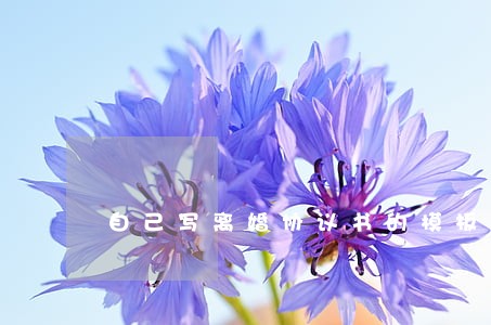 自己写离婚协议书的模板 自己写离婚协议书的模板