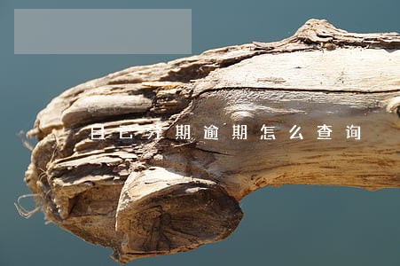 自己分期逾期怎么查询