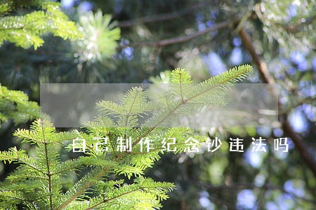 自己制作纪念钞违法吗 自己制作纪念钞违法吗