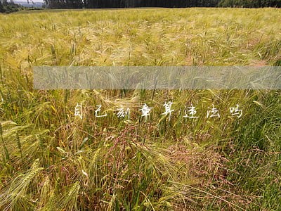 自己刻章算违法吗 自己刻章算违法吗
