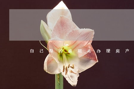 自己原因逾期未办理房产证 自己原因逾期未办理房产证