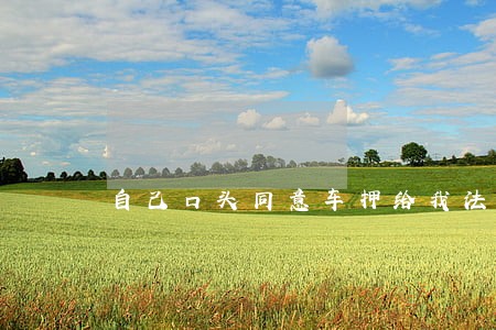 自己口头同意车押给我法院认吗 自己口头同意车押给我法院认吗