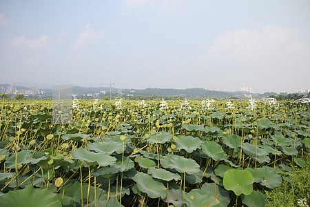 自己可以去法院立案吗 自己可以去法院立案吗