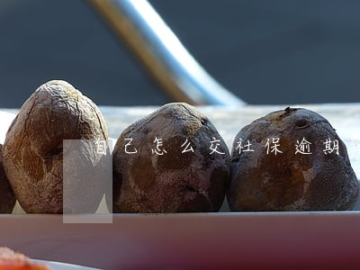 自己怎么交社保逾期缴费 自己怎么交社保逾期缴费