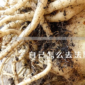 自己怎么去法院起诉保险公司 自己怎么去法院起诉保险公司