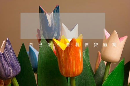 自己怎么查看信贷逾期 自己怎么查看信贷逾期