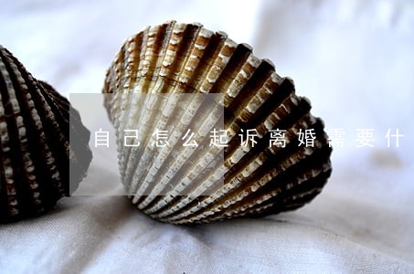 自己怎么起诉离婚需要什么证件 自己怎么起诉离婚需要什么证件