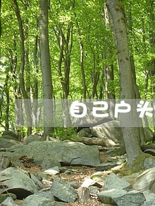 自己户头车逾期未检能销户吗 自己户头车逾期未检能销户吗