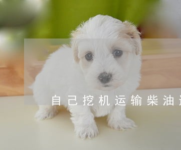 自己挖机运输柴油违法吗