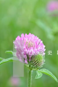 自己更换变速箱违法吗