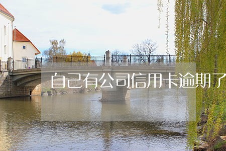 自己有公司信用卡逾期了 自己有公司信用卡逾期了