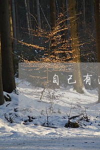 自己有逾期会影响父母贷款吗 自己有逾期会影响父母贷款吗