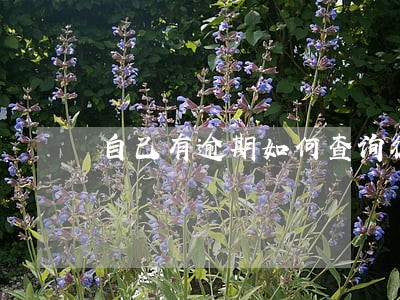 自己有逾期如何查询征信 自己有逾期如何查询征信