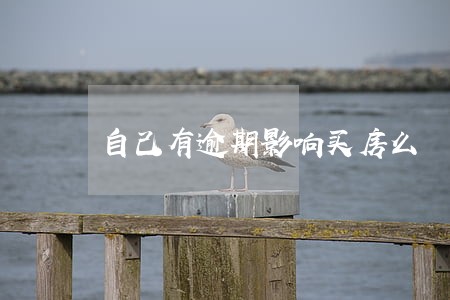 自己有逾期影响买房么 自己有逾期影响买房么