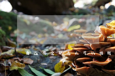 自己有逾期怎么可以借钱 自己有逾期怎么可以借钱