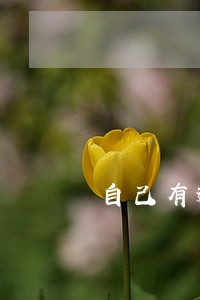 自己有逾期用别人手机号 自己有逾期用别人手机号