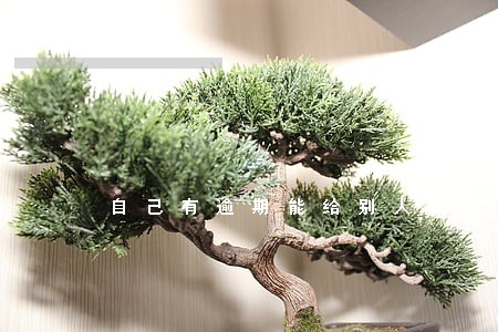 自己有逾期能给别人做担保吗 自己有逾期能给别人做担保吗