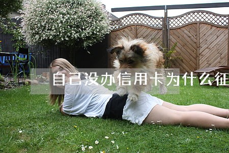 自己没办信用卡为什么征信有逾期