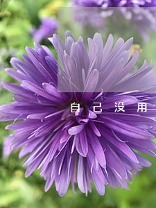 自己没用花呗却打电话说逾期 自己没用花呗却打电话说逾期