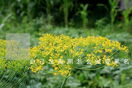 自己没逾期怎么就变黑名单 自己没逾期怎么就变黑名单
