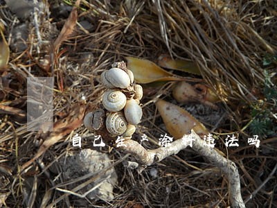 自己生产涂料违法吗 自己生产涂料违法吗