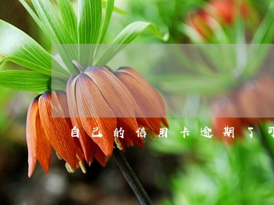 自己的信用卡逾期了可以消费吗 自己的信用卡逾期了可以消费吗