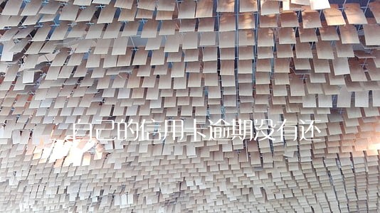 自己的信用卡逾期没有还