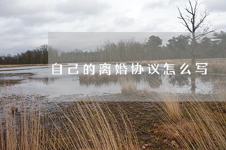 自己的离婚协议怎么写 自己的离婚协议怎么写