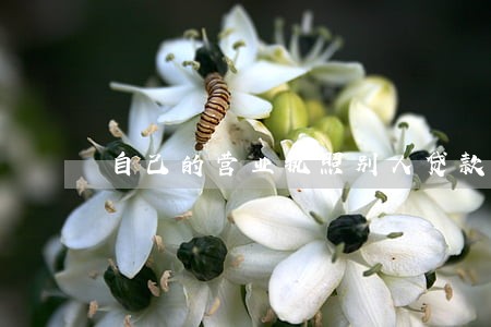 自己的营业执照别人贷款逾期 自己的营业执照别人贷款逾期