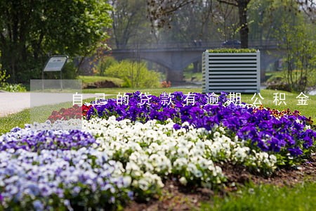 自己的贷款有逾期公积金贷款吗 自己的贷款有逾期公积金贷款吗