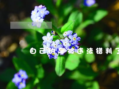 自己的车被违法错判了应该怎么办