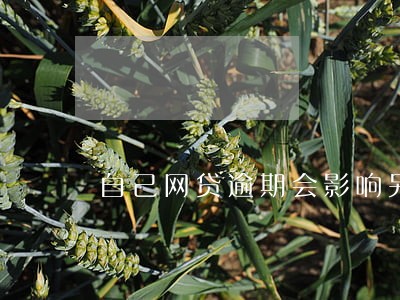 自己网贷逾期会影响另一半吗 自己网贷逾期会影响另一半吗