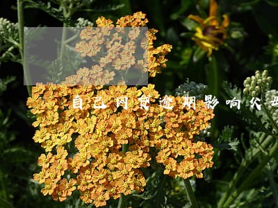 自己网贷逾期影响父母医保么 自己网贷逾期影响父母医保么