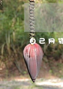 自己网贷逾期还不了 自己网贷逾期还不了