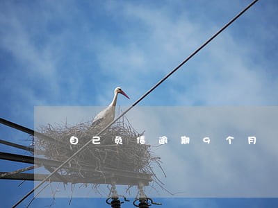 自己负债逾期9个月 自己负债逾期9个月