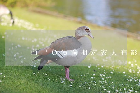 自己负债逾期对家人有影响吗 自己负债逾期对家人有影响吗