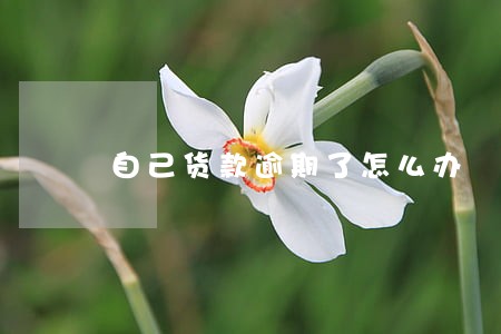 自己货款逾期了怎么办 自己货款逾期了怎么办