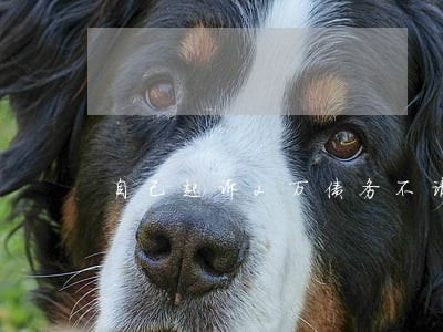 自己起诉2万债务不请律师 自己起诉2万债务不请律师