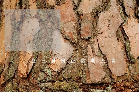 自己身份证逾期还清 自己身份证逾期还清