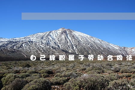 自己辞职属于劳动合同法 自己辞职属于劳动合同法