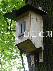自己逾期了会不会影响家人 自己逾期了会不会影响家人