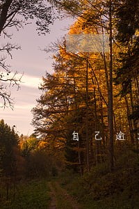 自己逾期会影响家人贷款吗 自己逾期会影响家人贷款吗