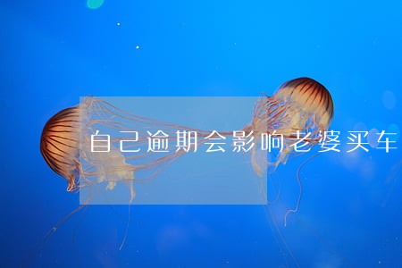 自己逾期会影响老婆买车么 自己逾期会影响老婆买车么