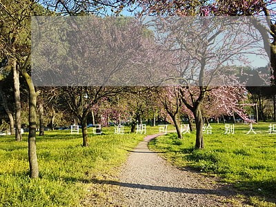 自己逾期可以给别人担保吗 自己逾期可以给别人担保吗